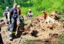 08.06.2024: Sprengdienst-Übung an Wurzelstöcken in Landshaag