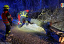18.01.2026: Föhnwindböen werfen in Ufer Baum über die Fahrbahn