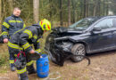 29.03.2026: Pkw in Kurve in Forst mit Baum kollidiert