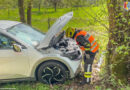 17.04.2026: „Rauchentwicklung“ an Elektroauto nach Anstoß an Baum in Ufer