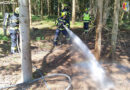28.05.2026: Kleinbrand am Waldrand in Forst