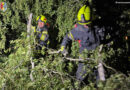 31.07.2026: Unwetter-Sturmfront bringt eine Handvoll Feuerwehreinsätze mit sich