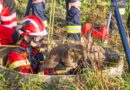 20.09.2026: Reh in 6 m tiefen Brunnen → Feuerwehr-Höhenretter erfolgreich im Einsatz